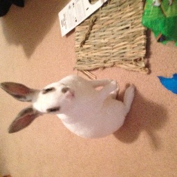 YOLOla924's profile picture. 