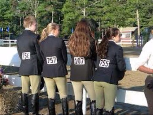 Hey y'all! 
New account only for passion of riding!
Send your love for horses this way!