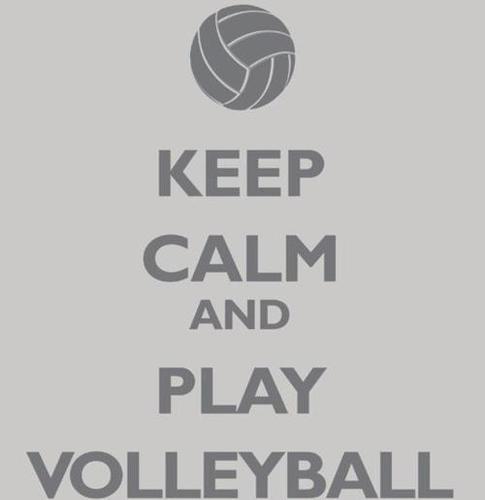 Vball_Tweets's profile picture. Male Volleyball Player, that is all!