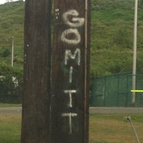 MitShah41's profile picture. 