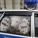 Declan Loudon - @declanloudon - Twitter