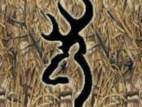 The Hunt Profile