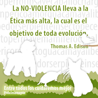 Zoolatria's profile picture. 