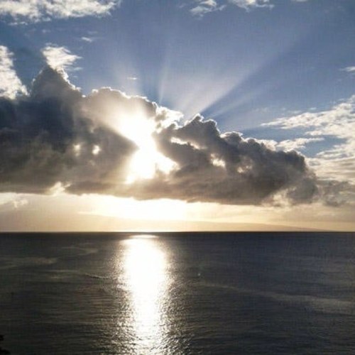 KDkailua's profile picture. 