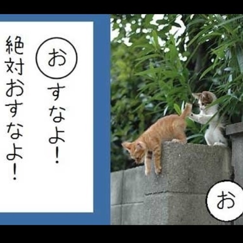 年齢を重ねるほどに周りに優しい自分で有りたいと思う気持ちが強くなる、その思いと実際の行動とはいつ出逢えるのか？ まだお互いは 視認出来るはずも無くむなしく 時はただ過ぎてゆく、そんな私ですが ふと気がつけば 日々事もなくすごす事が出来ています ありがとう。