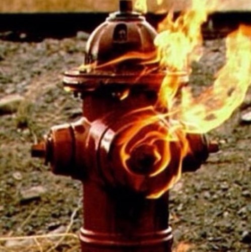 twichy17's profile picture. 