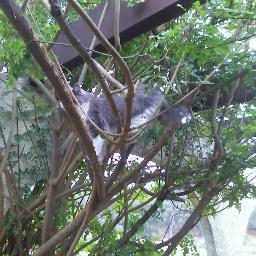 Just crackin things open to see what's inside.
Child of Yahweh
Wife
Mother
Chicken and garden caretaker