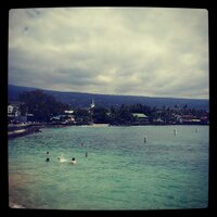 Brad Wauer (@bradwauer) 's Twitter Profile