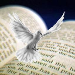 Johhn316's profile picture. Relating news and events of today's world to the word of God bible prophecy.