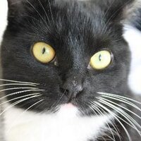 tatum (@xtatumderksen) 's Twitter Profile