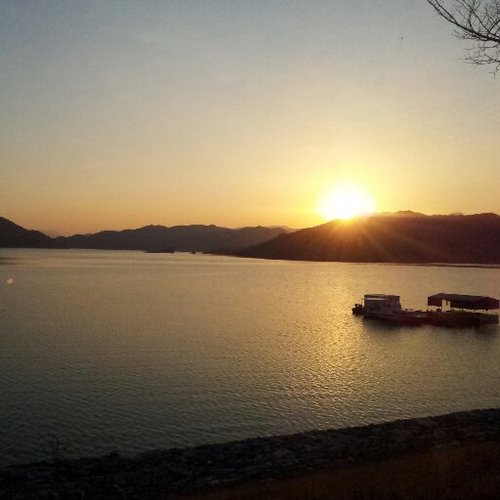 hyoneehaha's profile picture. 