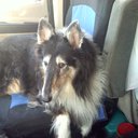 Robert Anglin - @rea958 - Twitter