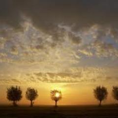 the sunset is not as beautiful as you are