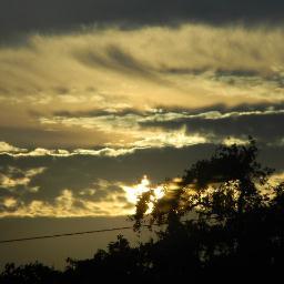 whitneysmom97's profile picture. A Christian Stay At Home Mom who homeschools a 16 yr old daughter. Like to meet new friends.