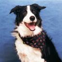 robert warrender - @rwarrender - Twitter