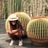 Martagonco's profile image