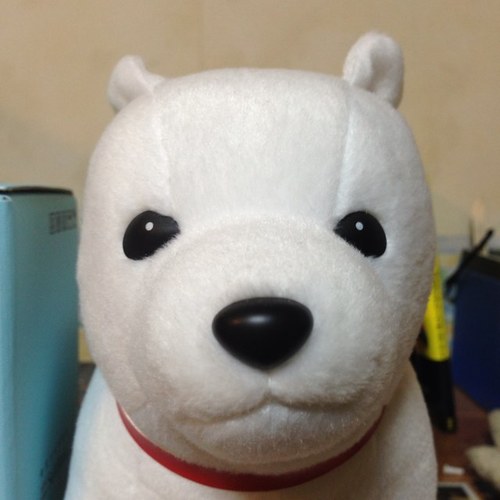 新しく始めました！