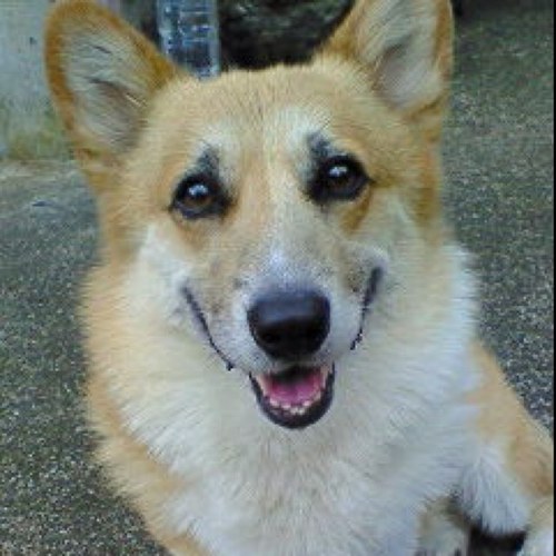 ma11_25mon's profile picture. KG/しゃーぷ☻/ハッピー星ロッキー村☆