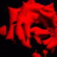 gosima (@gosima) Twitter profile photo