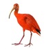 alexis turner (@londontaxidermy) Twitter profile photo alexis turner (@londontaxidermy) Twitter profile photo