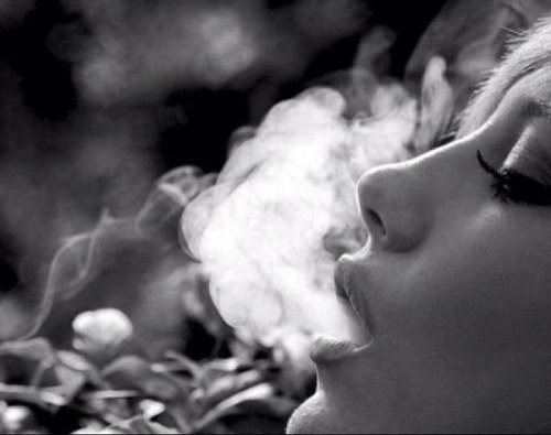 You hold me without chains. You keep me without touch. ♡ Burn them trees.  Live that high life.