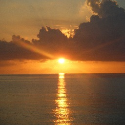 mr_jdf's profile picture. 