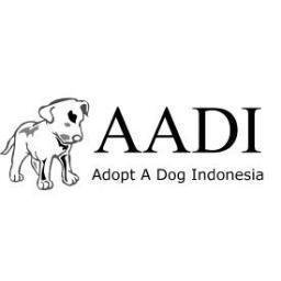 Looking for a dog? Why not adopt here? Mention for details :)
ACTIVE NEXT YEAR!