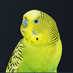 Doru Software (@dorusoftware) Twitter profile photo Doru Software (@dorusoftware) Twitter profile photo