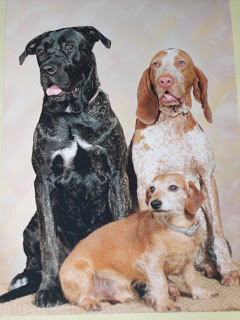 Animal lover (all), people lover (only the nice ones)