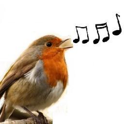We sell, trade and buy Vinyl Records and some other  items collectibles... 
¿Y tu pájaro puede cantar?