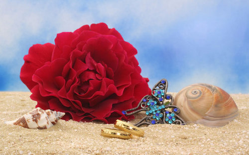 MyBeachFavors's profile picture. We are an online store specializing in Wedding Favors for Destination Weddings.