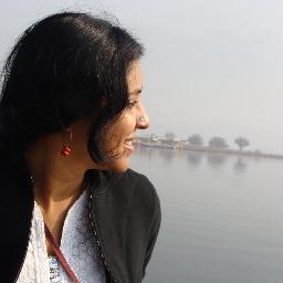 cultural activist -journalist