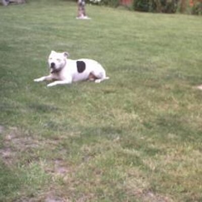 sylvie1234's profile image