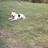 sylvie1234's profile image