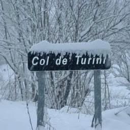 _raycs's profile picture. 