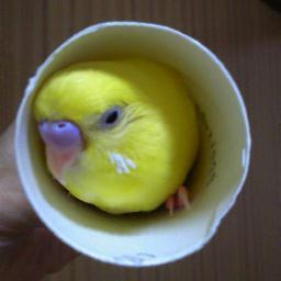 ★「デジタル写真集アップ」  http://t.co/YEq8LgNYzM 「みんなのデジブック広場」で作者「mamechan_517」で検索。アップした写真集がすべて閲覧中。  ★写真集２冊作成。http://t.co/ZeMsQDEr でジャンル「ペット」、ニックネーム「mamechan」で「検索」掲載