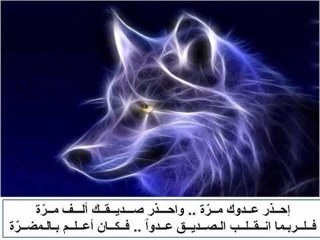 علمتني الدنيا احترام عقول الاخرين ولاكن لا اثق بها