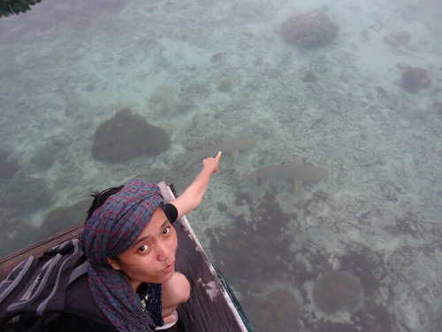 InduwlUntuGedhe's profile picture. hiiii..gigi saya besarr :D