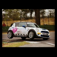 Carlotta Fedeli (@carlottafedeli) 's Twitter Profile