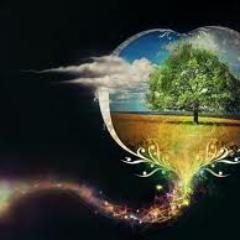 ionlucian2's profile picture. 