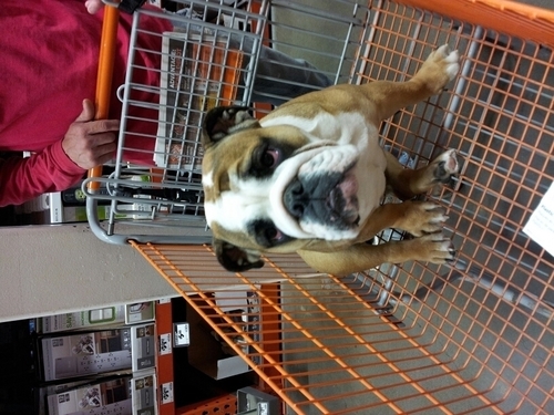 mickj01's profile picture. 