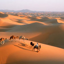 Halima ba - @BaHalima - Twitter