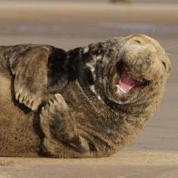 SlavinMike's profile picture. 