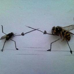 Terminators is a full service company that offers many pest programs.