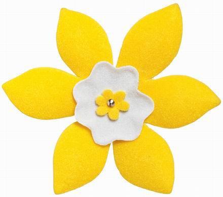 Cancer Awareness Month happens every April. Help the Durham Region Canadian Cancer Society by volunteering, or wearing a Daffodil Pin during the month of April!