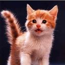 gatos (@57_gatos) Twitter