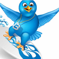 Siga Dinámica (@dinamicasiga) 's Twitter Profile