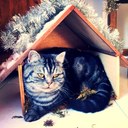 Audrey Prevost - @audidu60 - Twitter