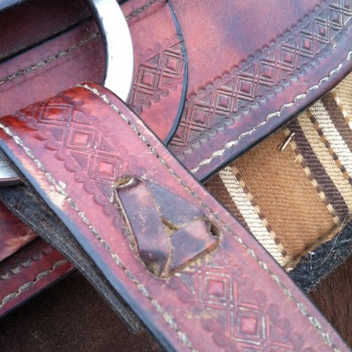 roflroper's profile picture. 