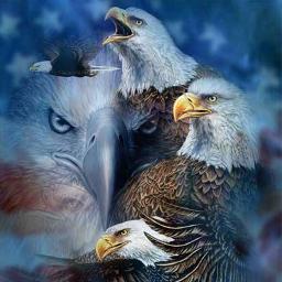 Alexander860111's profile picture. 